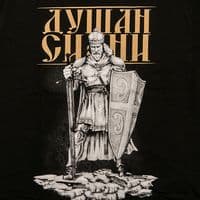 TikTok Account - dusansilni_2023