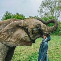 TikTok Account - rene_casselly