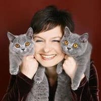 TikTok Account - silverysnowcats