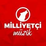 TikTok Account - milliyetcimuzik
