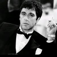 TikTok Account - video_canzoni229