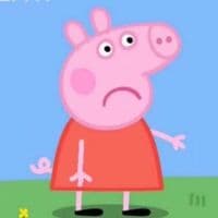 TikTok Account - poop.monkki6969