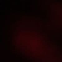 TikTok Account - qqqqdong98