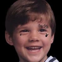 TikTok Account - jessesulli