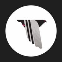 TikTok Account - pigsandplans