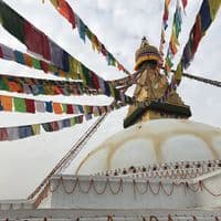 TikTok Account - bhimsengurung02