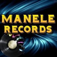 TikTok Account - manele_records_official