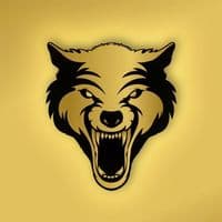 TikTok Account - realwolf3