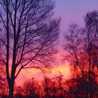 TikTok Account - open.squadx