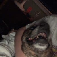 TikTok Account - flyhightori