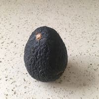 TikTok Account - ripe_avocado