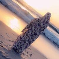 TikTok Account - nourachrivmokhtar