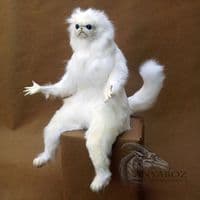 TikTok Account - ticsuxtok