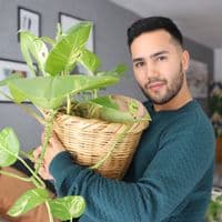 TikTok Account - inspiratuestilo