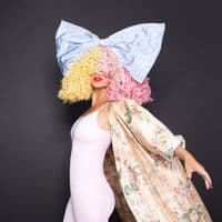 TikTok Account - siaarchive