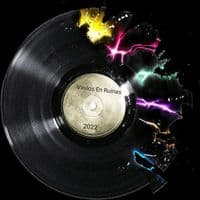 TikTok Account - vinilosenruinas