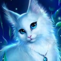 TikTok Account - _alina_393