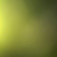 TikTok Account - rc.16