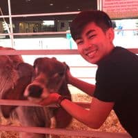 TikTok Account - nohesiboys