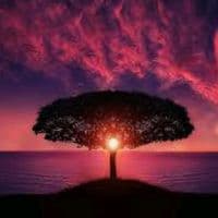 TikTok Account - lyrical_peace0