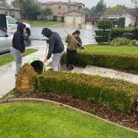 TikTok Account - alducin3