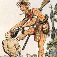 TikTok Account - donsofalldons