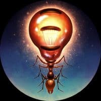 TikTok Account - lightscameraants