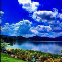 TikTok Account - lihongxia0708