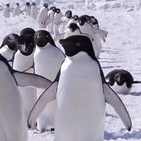 TikTok Account - edwardo.wilson