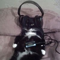 TikTok Account - spotifussy