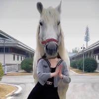 TikTok Account - eveblack2000