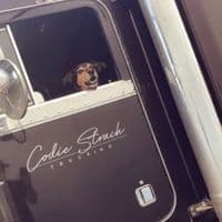 TikTok Account - codiestrach