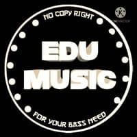 TikTok Account - edumusic129