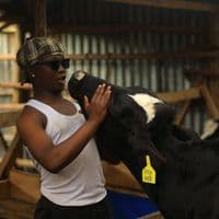 TikTok Account - keei__ziggy