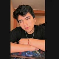 TikTok Account - pedro_lp2023