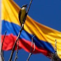 TikTok Account - libre_oposicion