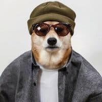 TikTok Account - dani.movie