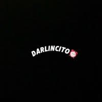 TikTok Account - darlincito_lirycs