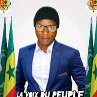 TikTok Account - la_voixdupeupletv