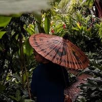 TikTok Account - treeptips