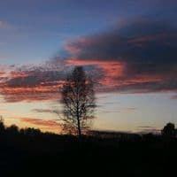 TikTok Account - drimex0.1