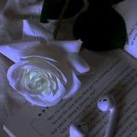 TikTok Account - kaidenbethoo