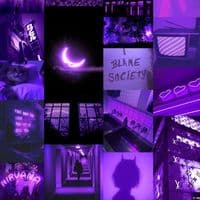 TikTok Account - audio.vibes_