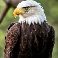 TikTok Account - mensagem.motivaci3