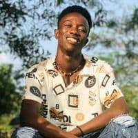 TikTok Account - stantv.wizkidfc