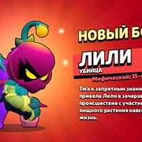 TikTok Account - teksterist