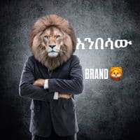 TikTok Account - anbsawfashion