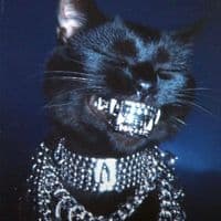 TikTok Account - spoiled.gemini