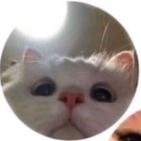 TikTok Account - dvdplayer193