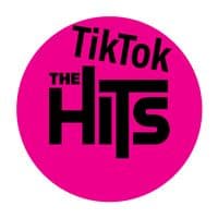 TikTok Account - .tiktok.hits
